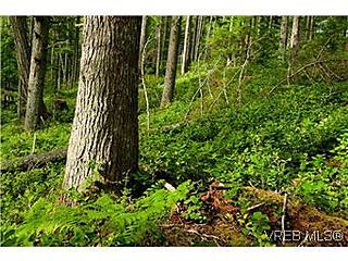 , Lot 6 Trailhead Way