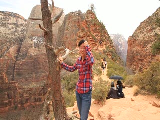 Zion national park_the top of the mountain