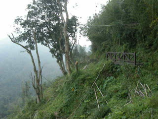 View of a valley