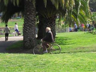 Dolores Park I