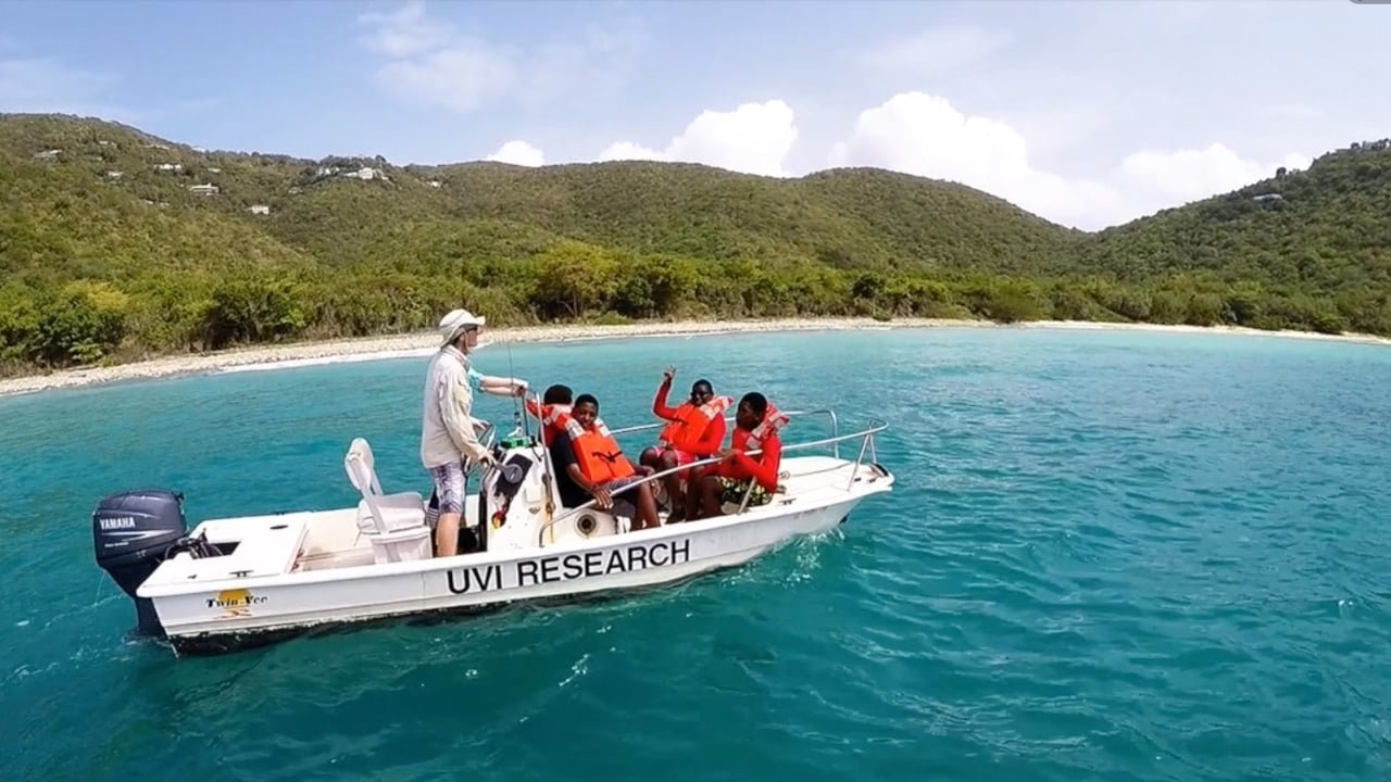 Icon for: Changing the Face of STEM in the U.S. Virgin Islands