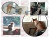 Fetch Pet Care Services Commercial