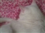 Luzy Gets An A+ On Sleeping