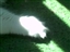 Poly-ZAC-tyl #2:  The Underside