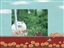 New Catnip plant