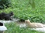 Sandy and the Neighbor
