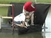 Vegas' First Dive
