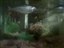 My Fish