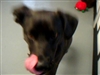 Sprite-Needs Home