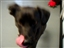 Sprite-Needs Home