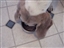 Daisy eating whats good for her