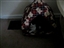It's raining, I think I'll rest in here