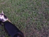 Playing in the yard