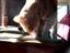 Product review on Color Fur Mice from margaret  m. - Mar 29th, 08