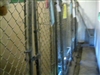 Kennel environment - in need of renovation!