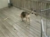 This is good fun!