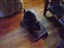 Product review on Double wide cat scratcher- Trader Joe's from moobert - Mar 30th, 08