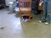 Crooner in the back room