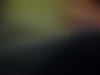 Wanna go outside??