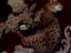 Product review on frontline catnip mouse from paul2 - Mar 29th, 08