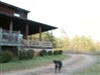 Pet video from Pawwa - Apr 27th, 08