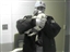 ACO LaBryer works with a new puppy