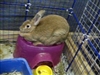 Carly sitting on her igloo