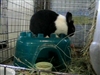 Mama Brittney on her igloo