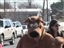 ZooToo comes to Watertown!