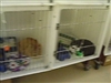 SPCA, I need you to help me