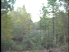 Web Video