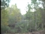 Web Video