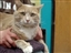 MCHS pets-Jasper!