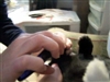 Pedicure For Beth