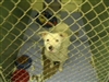 Service review on Mile Hi Humane Society from J - Mar 29th, 08