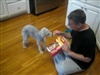 Sam snacking on Senior Milk-Bones