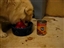Eat it up!