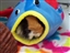 Treat Time Nyah loves her Fish Hideout