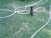 Playing in the yard
