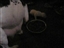 mama eating out of puppy pan