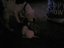 pups with there food