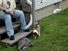 prince playing with 2 blue pits