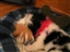 Lacey gives Phoebe a 