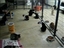 Kitty Kingdom - a cage free cat area