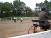 NY State Senior Games - Broome County 2008 - Reinsmanship