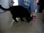 Shadow says 