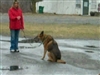 Training Method