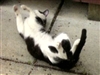 I'm out of the shelter and can finally roll around
