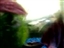 fish take