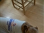 Blaze for DAWS in his Zootoo PJ's